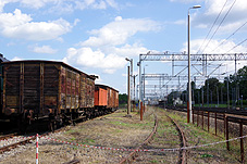min sk 39.jpg